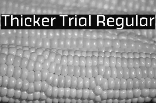 Thicker Trial Regular Font examples