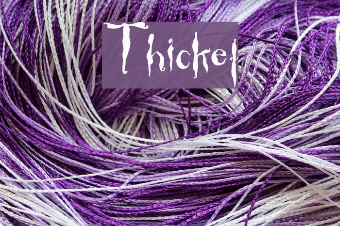 Thicket Font examples