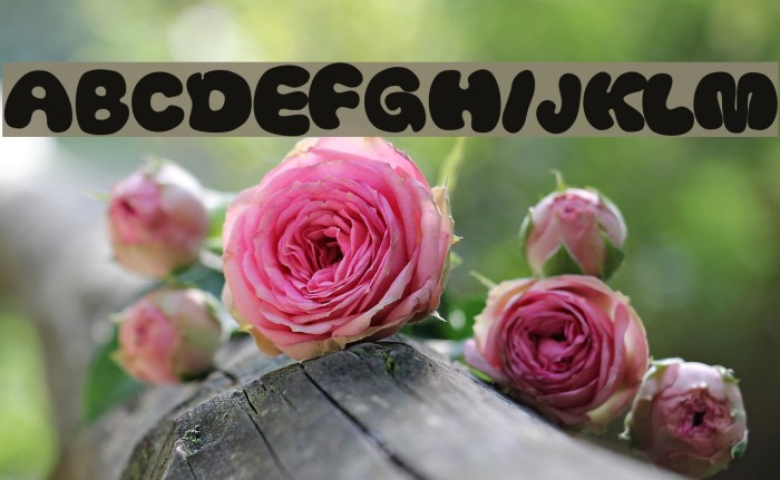 Thickhead Dark Font examples