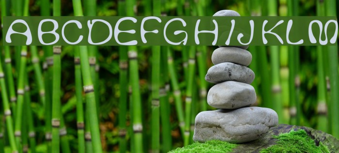 Thickhead Light Font examples