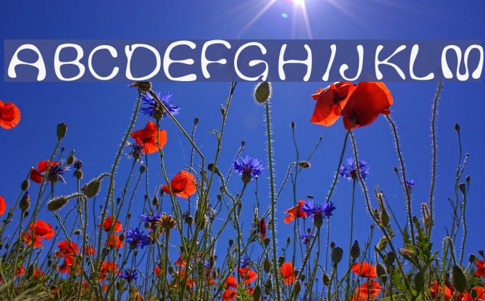 Thickhead Light Font examples