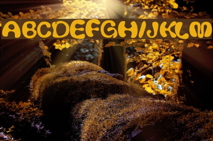 Thickhead Medium Font examples