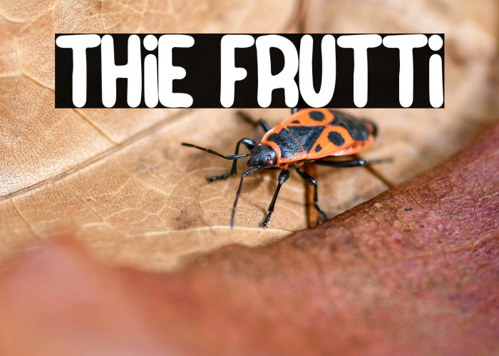 Thie Frutti Example 3