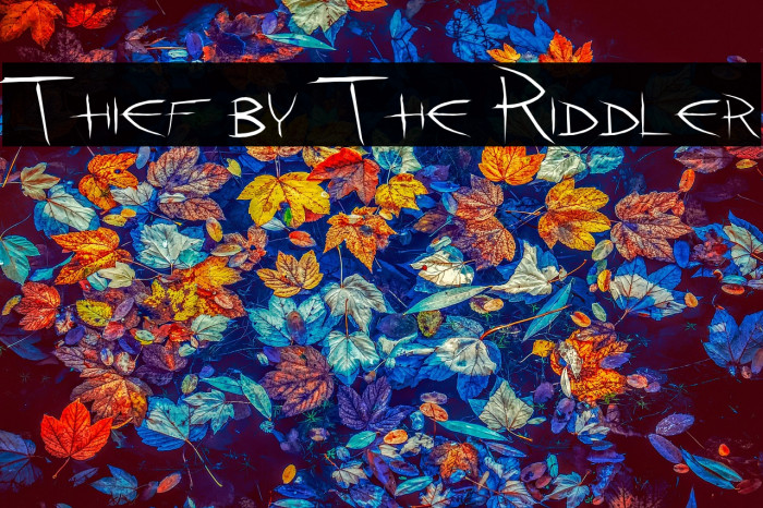 Thief by The Riddler Example 2