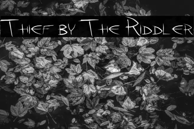 Thief by The Riddler Font examples