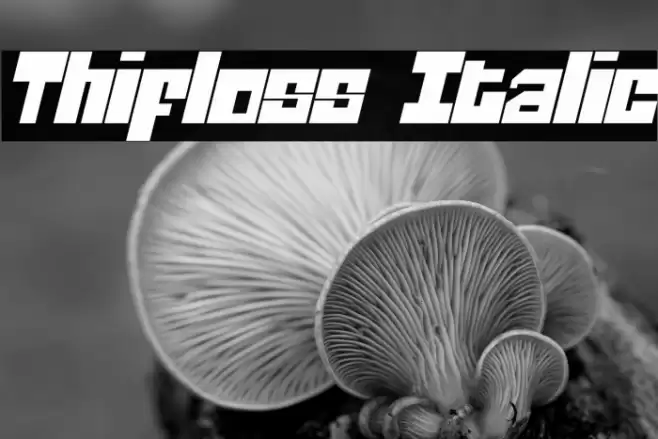 Thifloss Italic خط examples