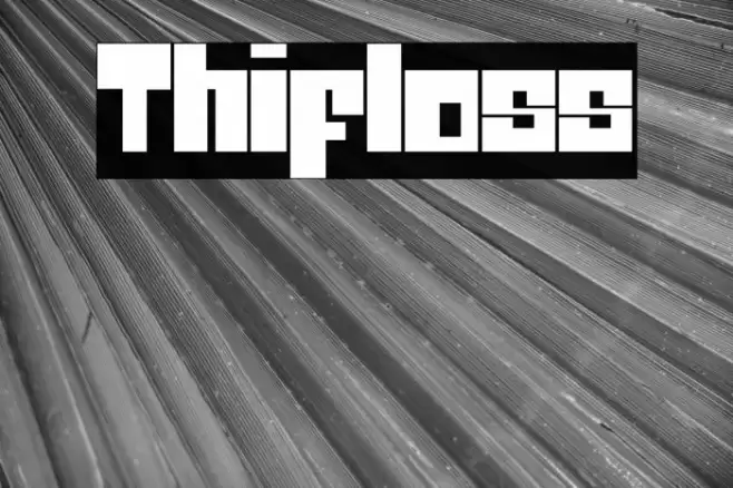 Thifloss خط examples