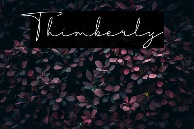 Thimberly Example 2