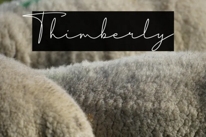 Thimberly Example 3