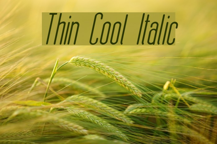 Thin Cool Italic Font examples