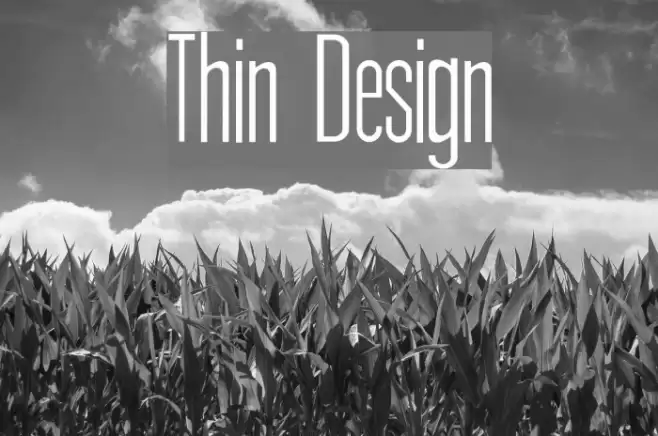 Thin Design Polices examples