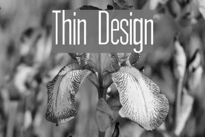 Thin Design Polices examples