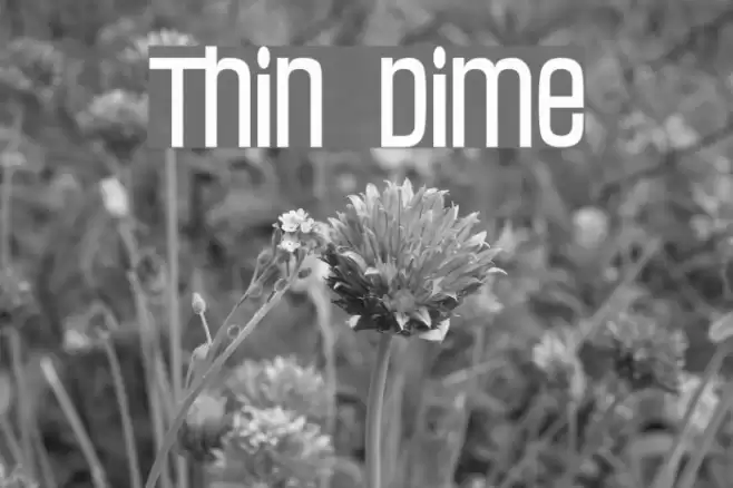 Thin Dime Font examples