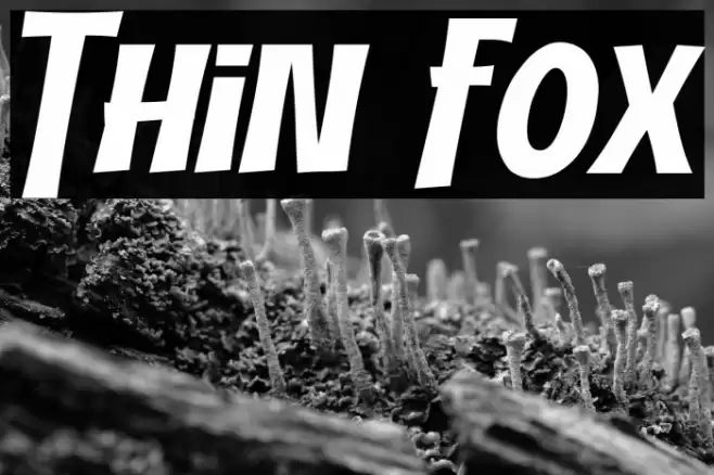 Thin Fox Polices examples