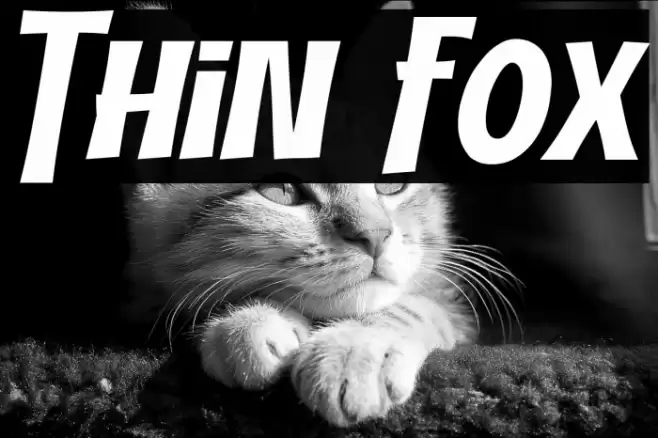 Thin Fox Polices examples