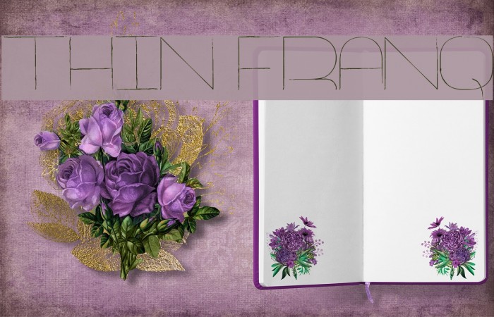 Thin Franq Font examples