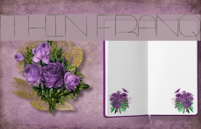 Thin Franq Example 2