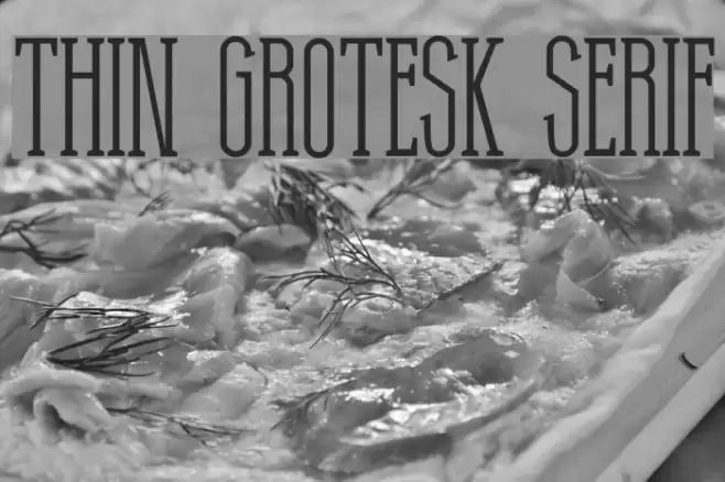 Thin Grotesk Serif Font examples