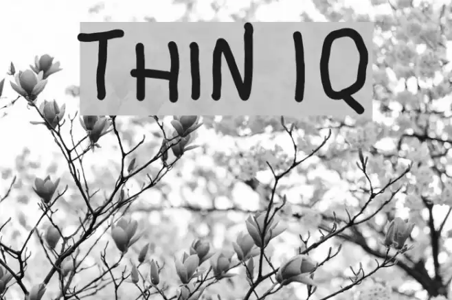 Thin IQ Font examples