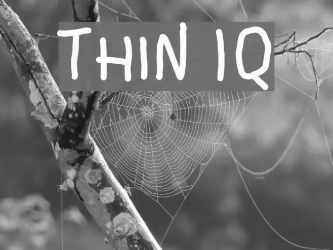 Thin IQ Font examples