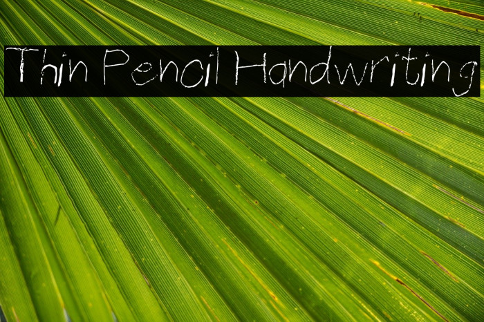 Thin Pencil Handwriting Font examples
