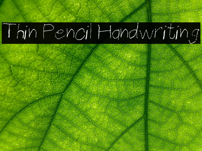 Thin Pencil Handwriting Font examples