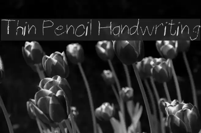 Thin Pencil Handwriting Font examples