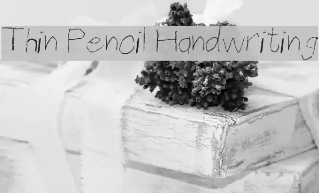 Thin Pencil Handwriting Font examples