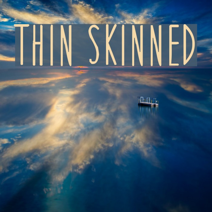 Thin Skinned Font examples
