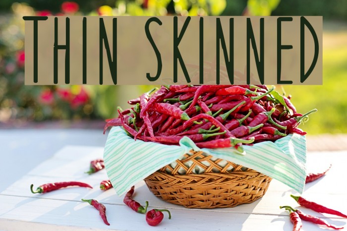 Thin Skinned Font examples