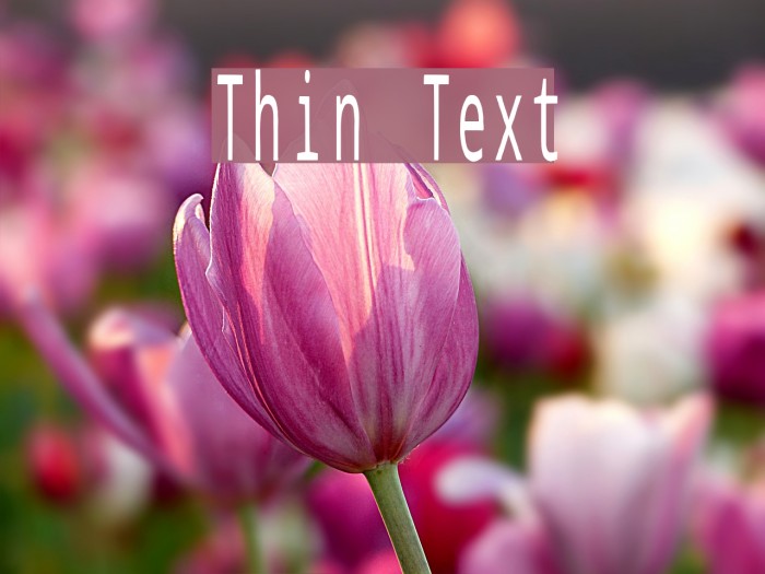 best photoshop styles for thin text