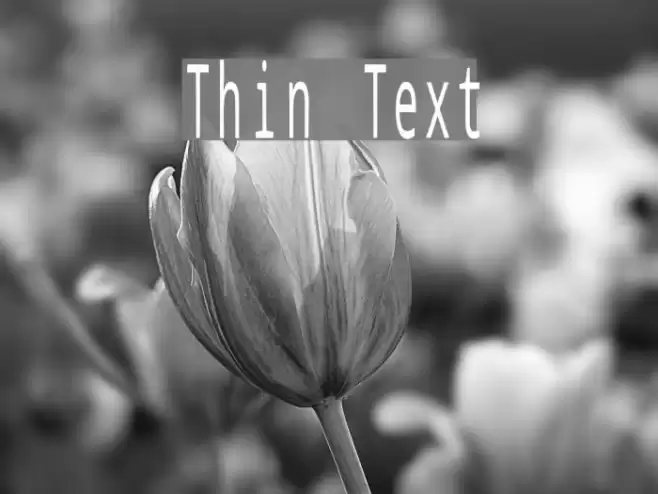 Thin Text Font examples