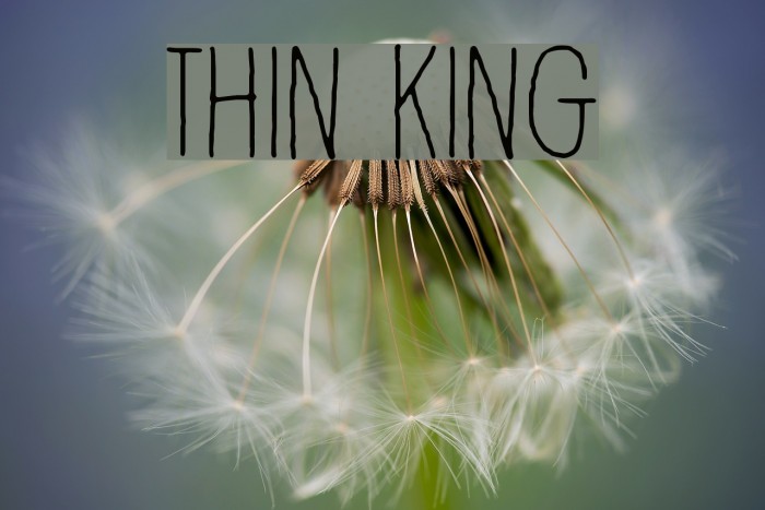 Thin king Font examples