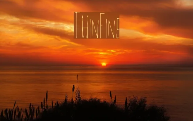 ThinFine Example 3