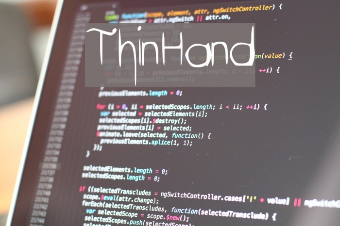 ThinHand Font examples