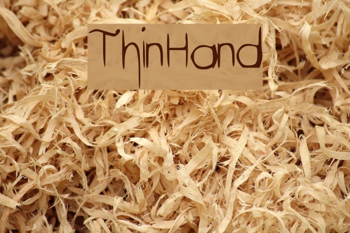 ThinHand Font examples