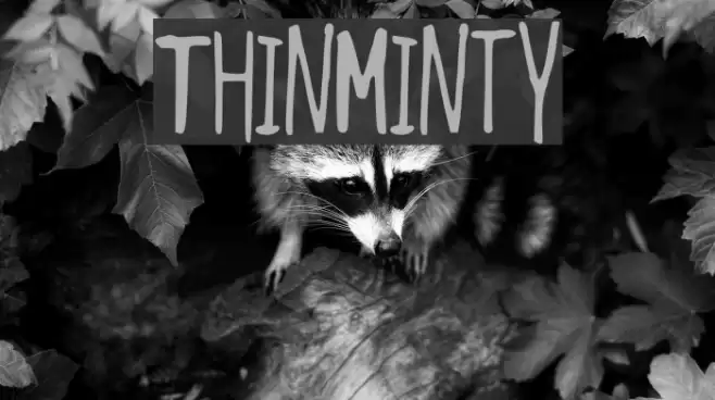 ThinMinty Font examples