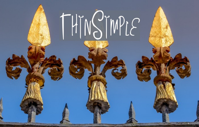 ThinSimple フォント examples