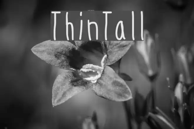 ThinTall Font examples
