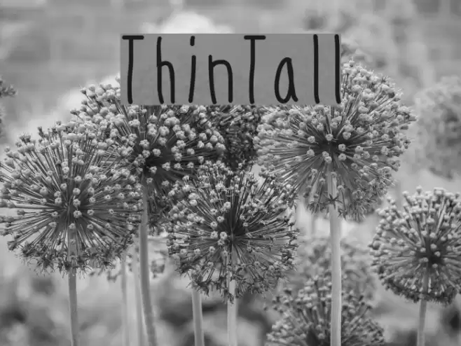ThinTall Font examples