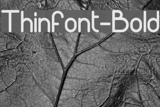 Thinfont-Bold Font examples