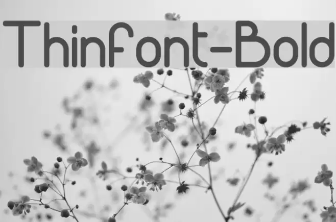 Thinfont-Bold Font examples