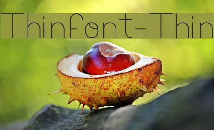 Thinfont-Thin Example 2