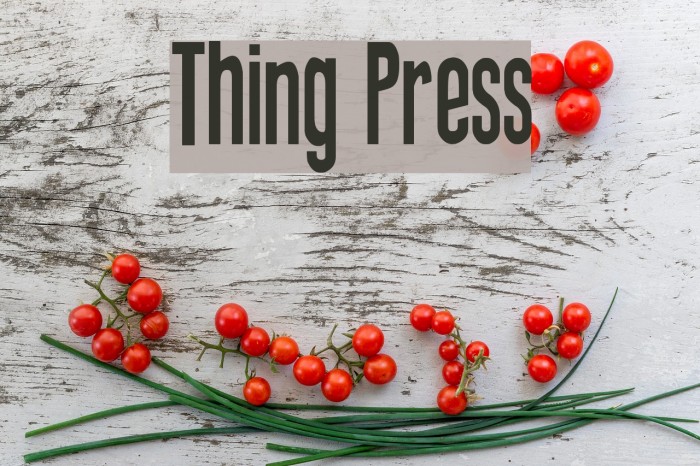 Thing Press Font examples
