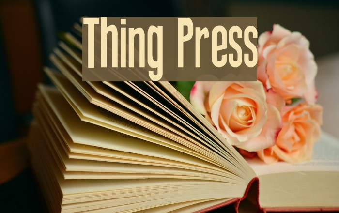 Thing Press Font examples