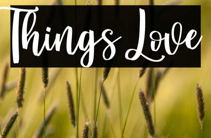 Things Love Example 3