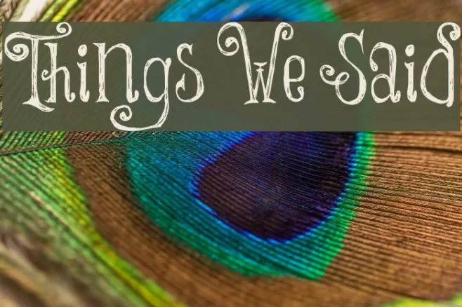 Things We Said Example 1