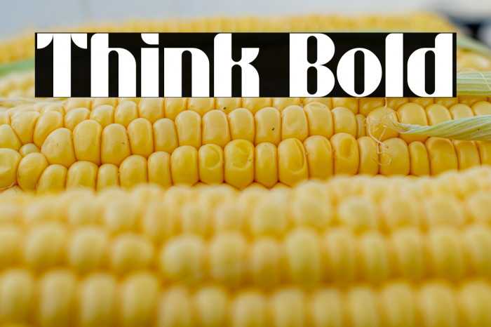 Think Bold Example 3