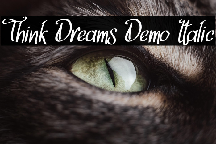 Think Dreams Demo Italic Example 1