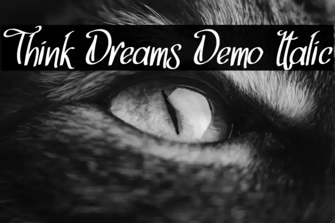 Think Dreams Demo Italic Font examples